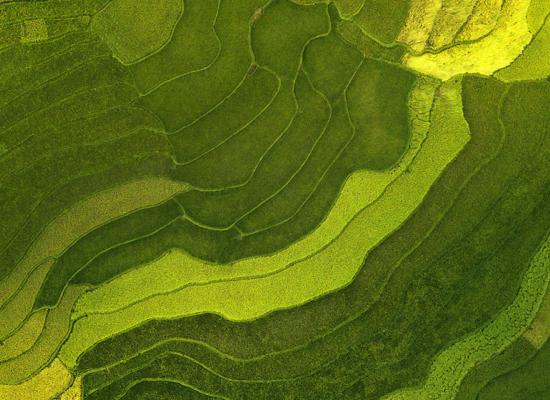 ESG investissement 2025