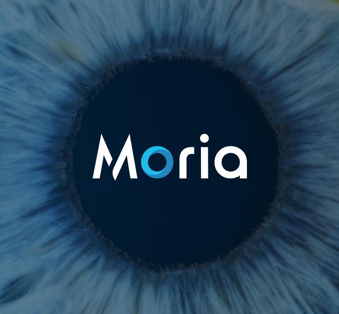 MORIA INVESTMENT PICTURE