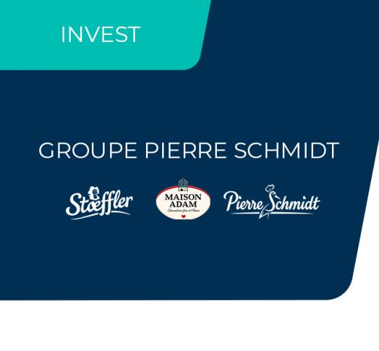 logo du groupe Pierre Schmidt